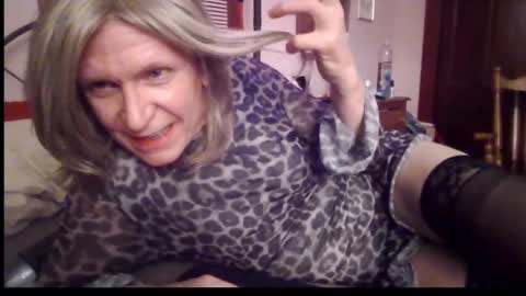 Kitten online show from December 21, 2:52 am