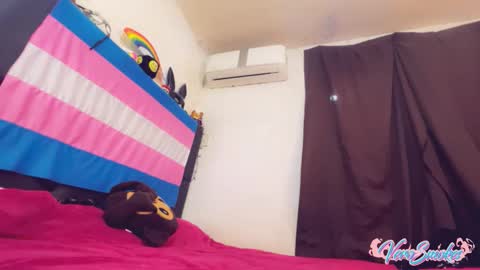 Vero Alva online show from November 5, 7:19 am