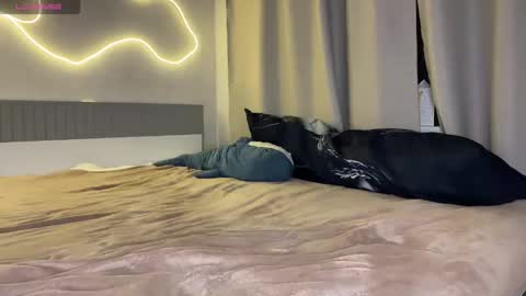 Karina followed me bb online show from November 6, 7:03 pm