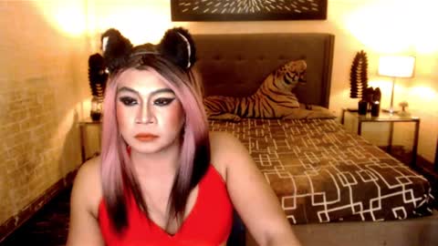 wildtransjhade online show from January 3, 10:20 am