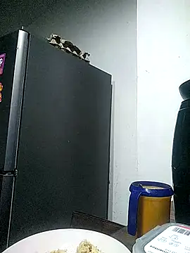 Cameron puppy online show from July 25, 3:04 am