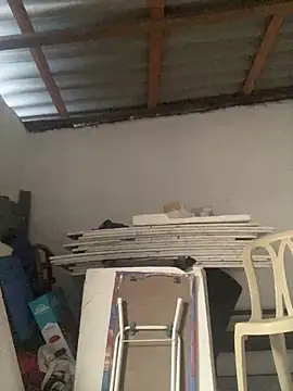 Charlotte Bradshaw online show from March 18, 3:11 pm