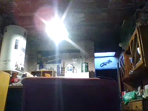 ar Lily online show from January 19, 9:11 am