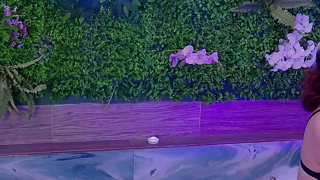 AuroraStartrainn online show from February 26, 1:30 pm