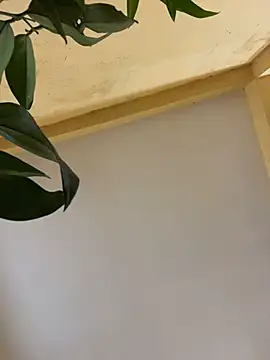 femboyslqueen online show from December 1, 6:38 am