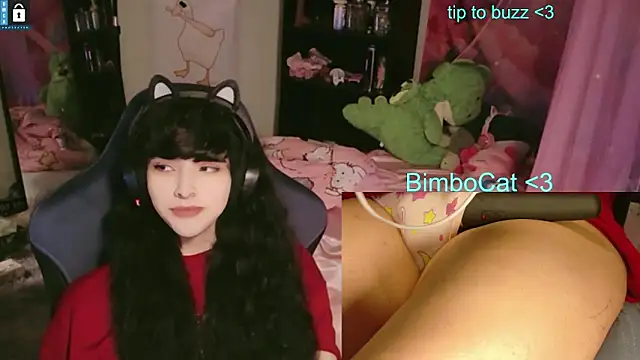 BimboCat online show from June 13, 8:09 pm