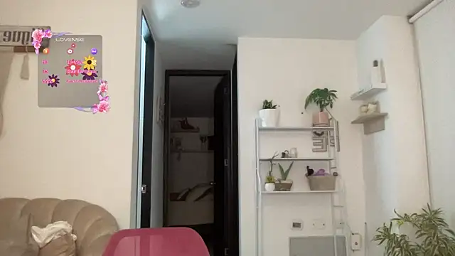 isa fox 23 online show from March 4, 12:50 am