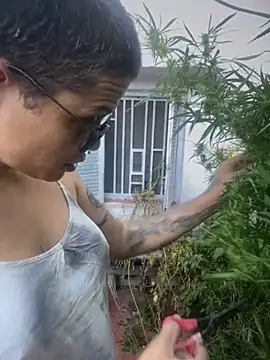 Alicbranca online show from March 18, 11:20 am