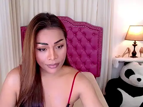 DreamLADYBOY online show from November 18, 1:05 am