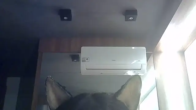 Skinny-Kitten online show from June 28, 1:37 pm