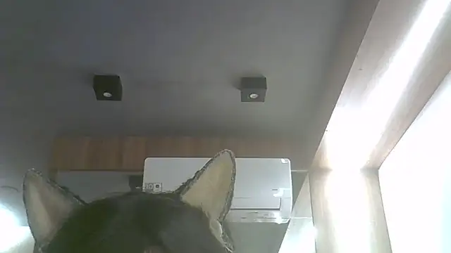 Skinny-Kitten online show from July 17, 11:55 pm